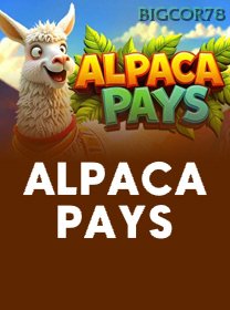 Alpaca Pays icon
