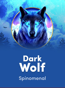 Dark Wolf Terbaru untuk Pemula: Review dan Panduan banner